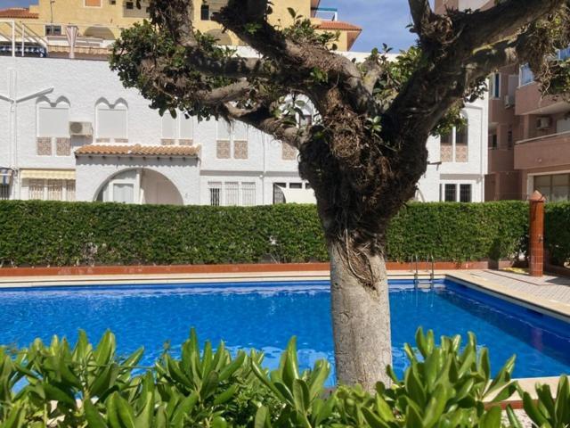 Vila Casa Torrevieja La Mata Exteriér fotografie